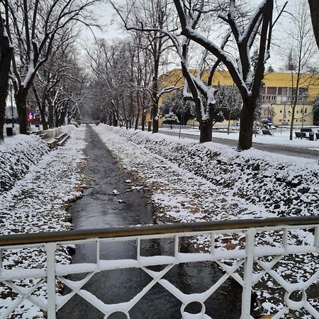 Apartman Esperanza Vrnjačka Banja エクステリア 写真