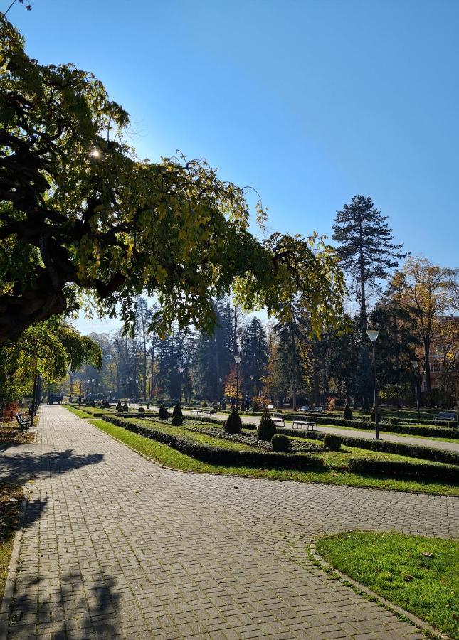 Apartman Esperanza Vrnjačka Banja エクステリア 写真